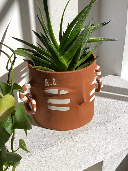 NOODLE  TERRA  // Seramik Saksı • Vazo